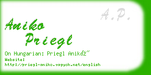 aniko priegl business card